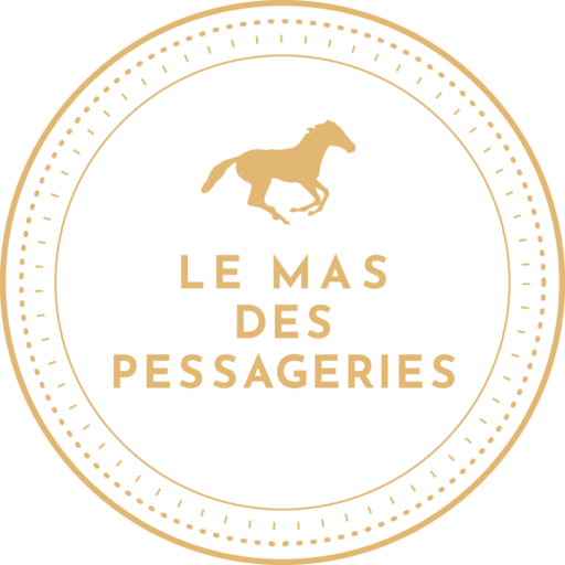 Les Chevaux des pessageries