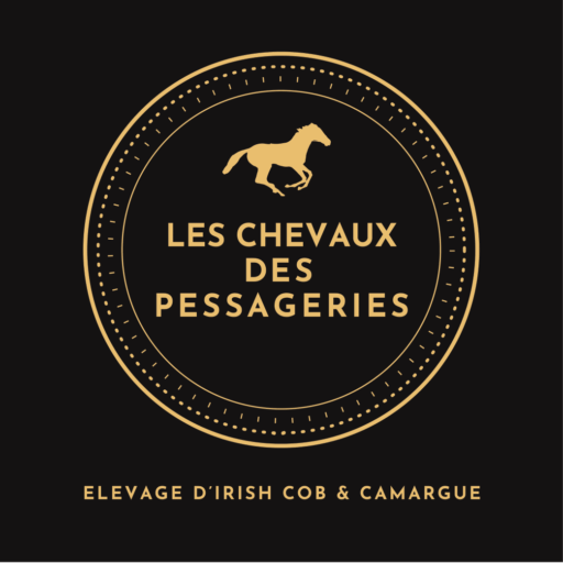 logo chevaux des messageries